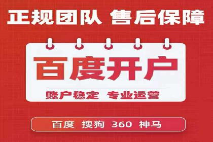 百度SEO推广公司经典之作：打造行业领先品牌